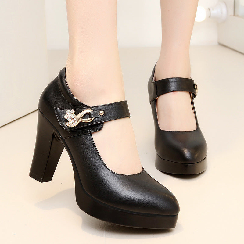 Women's Show Pointed Toe Chunky Waterproof Platform High Shallow Women's Shoes