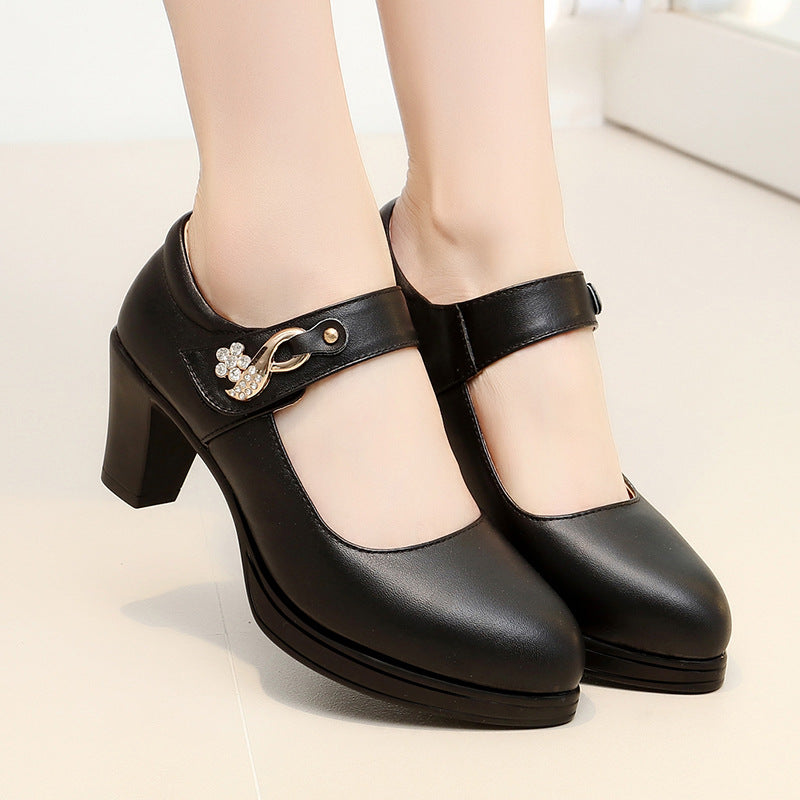Women's Show Pointed Toe Chunky Waterproof Platform High Shallow Women's Shoes
