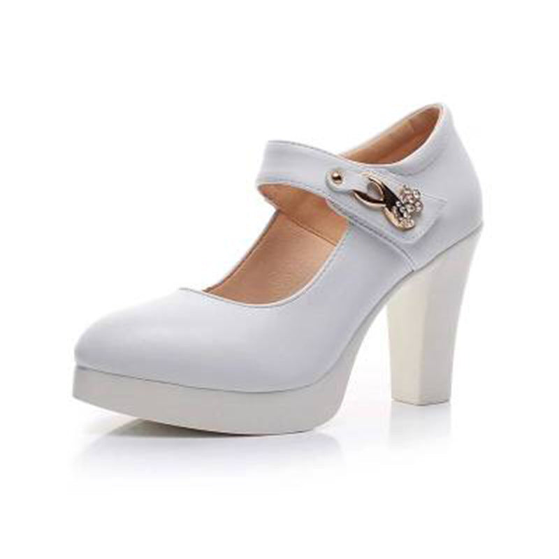 Women's Show Pointed Toe Chunky Waterproof Platform High Shallow Women's Shoes