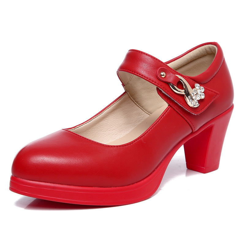 Women's Show Pointed Toe Chunky Waterproof Platform High Shallow Women's Shoes