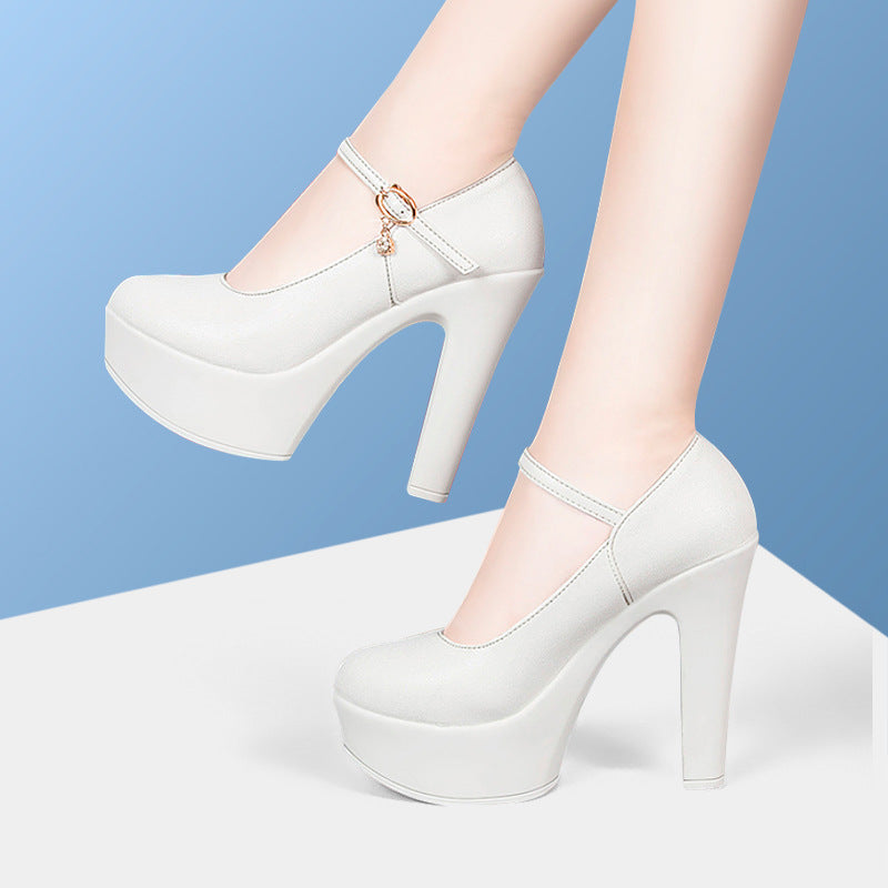 Women's High Platform Performance Sier Bridesmaid Wedding Women's Shoes