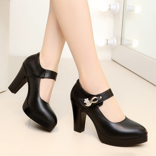 Women's Show Pointed Toe Chunky Waterproof Platform High Shallow Women's Shoes