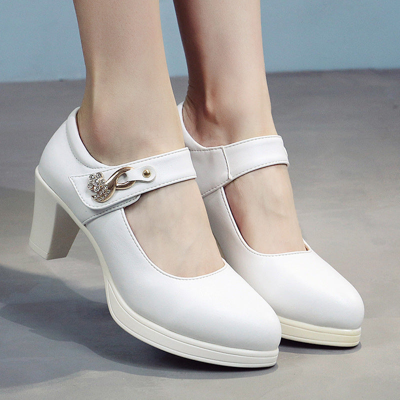 Women's Show Pointed Toe Chunky Waterproof Platform High Shallow Women's Shoes