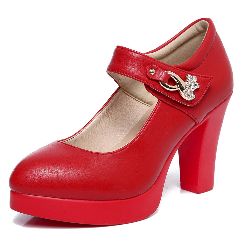 Women's Show Pointed Toe Chunky Waterproof Platform High Shallow Women's Shoes