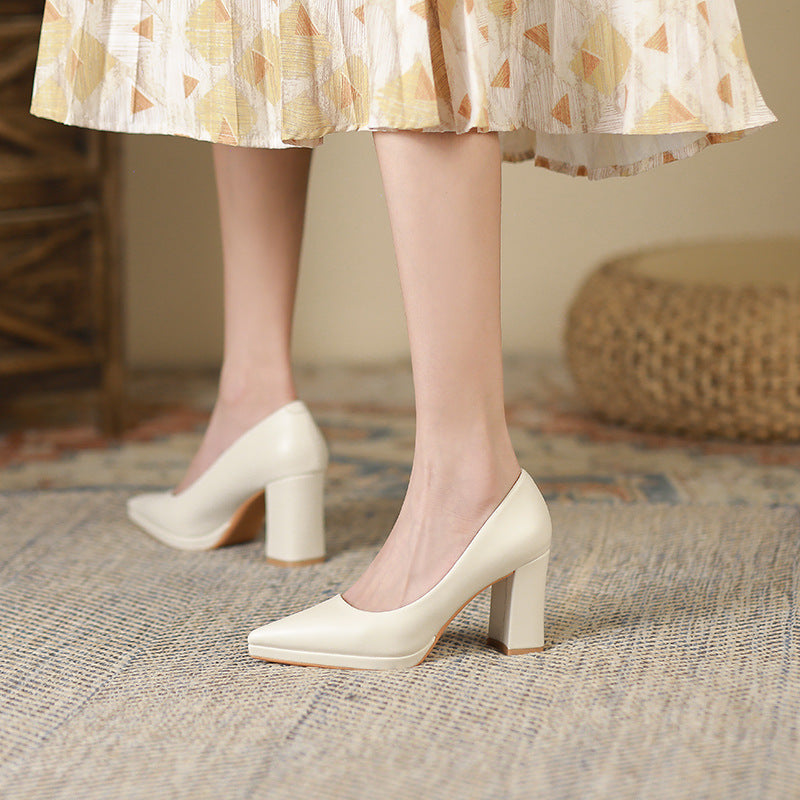 Women's French Pointed Toe Pumps Autumn Chunky Women's Fashion Shoes