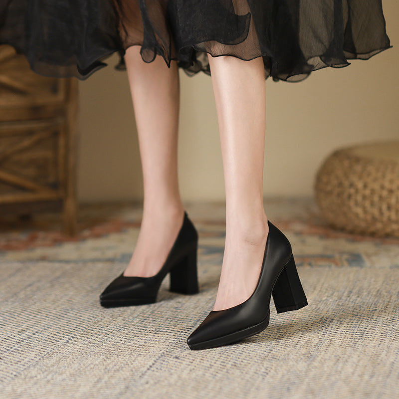 Women's French Pointed Toe Pumps Autumn Chunky Women's Fashion Shoes