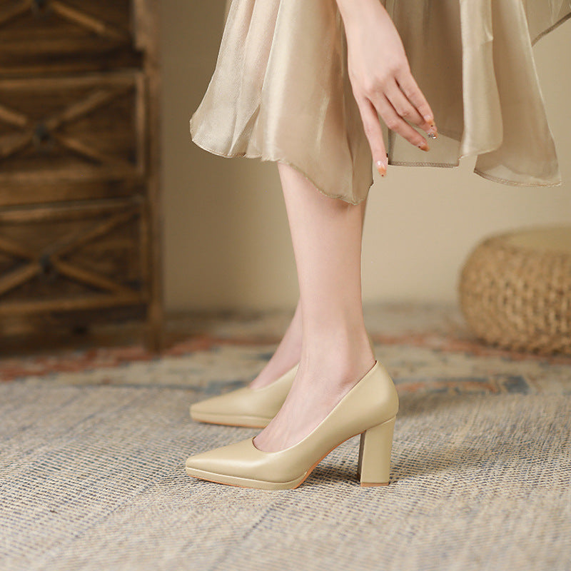 Women's French Pointed Toe Pumps Autumn Chunky Women's Fashion Shoes