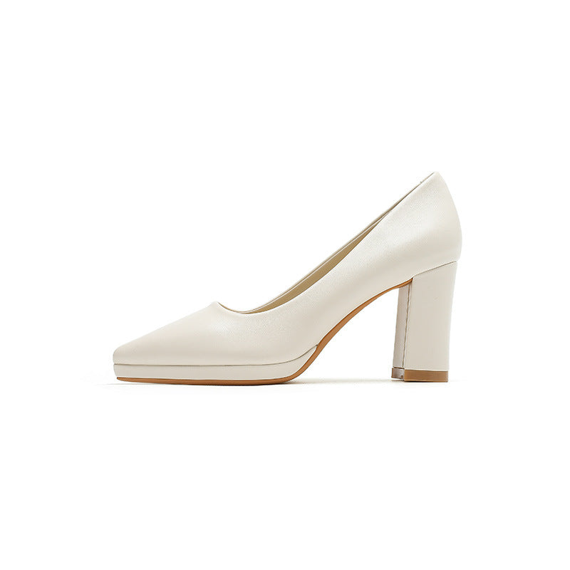 Women's French Pointed Toe Pumps Autumn Chunky Women's Fashion Shoes